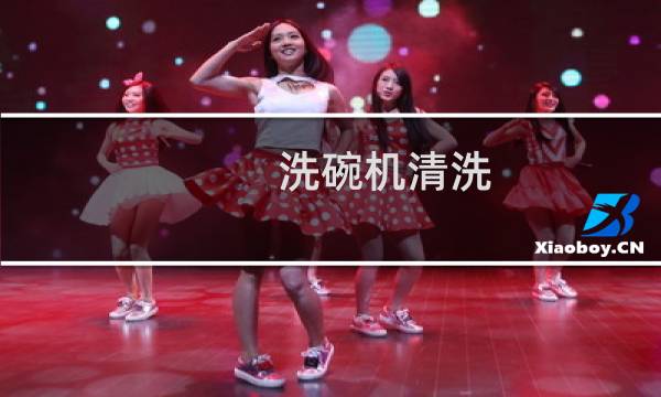 洗碗机清洗 - 洗碗机自身清洁
