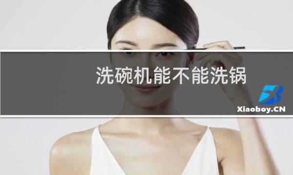 洗碗机能不能洗锅 - 10套洗碗机能洗过吗
