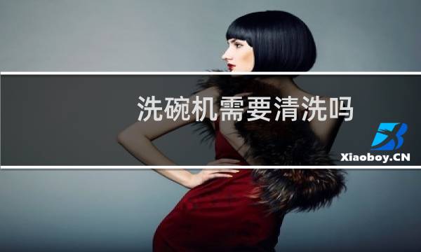 洗碗机需要清洗吗 - 洗碗机要定期清洗吗