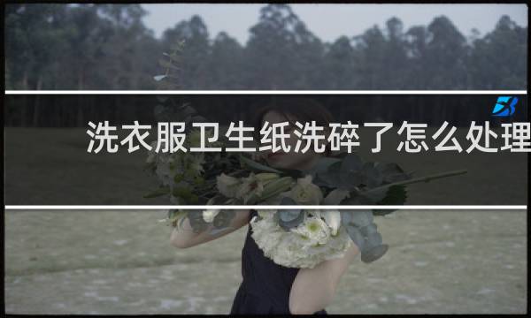 洗衣服卫生纸洗碎了怎么处理 - 洗衣机里全是卫生纸渣