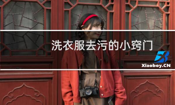 洗衣服去污的小窍门 - 去污小妙招衣服