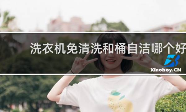洗衣机免清洗和桶自洁哪个好 - 免清洗洗衣机的弊端