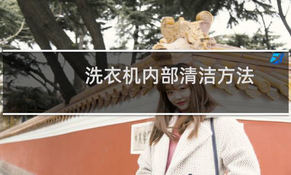 洗衣机内部清洁方法 - 洗衣机内部用什么清洗