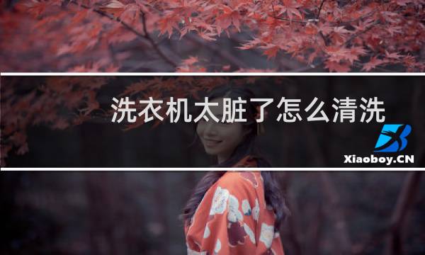 洗衣机太脏了怎么清洗 - 洗衣机脏了咋清洗