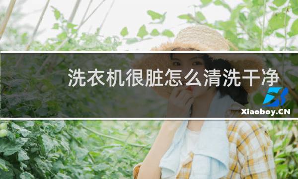 洗衣机很脏怎么清洗干净 - 洗衣机一洗就有脏渣子