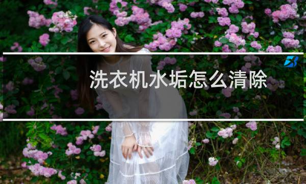 洗衣机水垢怎么清除 - 洗衣机里有小褐色碎片怎么办