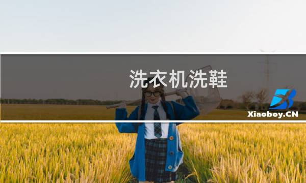 洗衣机洗鞋 - 洗衣机洗鞋有多恶心