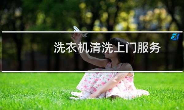 洗衣机清洗上门服务 - 有没有上门清洗洗衣机的