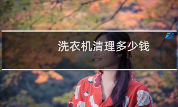 洗衣机清理多少钱 - 请师傅清洗一次洗衣机多少钱