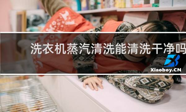 洗衣机蒸汽清洗能清洗干净吗 - 洗衣机高温蒸汽清洗有用吗