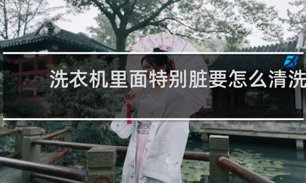 洗衣机里面特别脏要怎么清洗 - 洗衣机里面好脏怎么清洗干净
