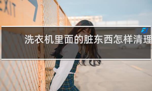 洗衣机里面的脏东西怎样清理 - 洗衣机里有小褐色碎片怎么清理