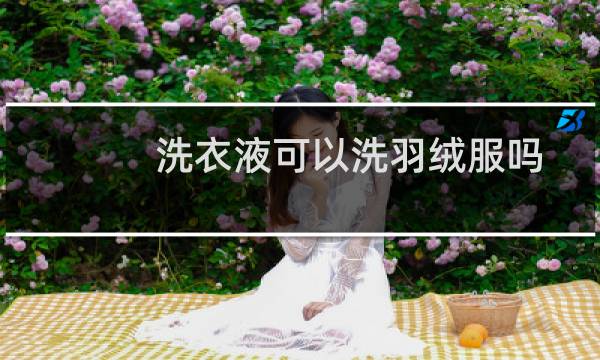 洗衣液可以洗羽绒服吗 - 羽绒服一定要用专用洗涤剂吗