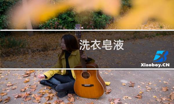 洗衣皂液 - 洗衣皂液配方