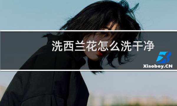 洗西兰花怎么洗干净 - 西兰花如何清洗