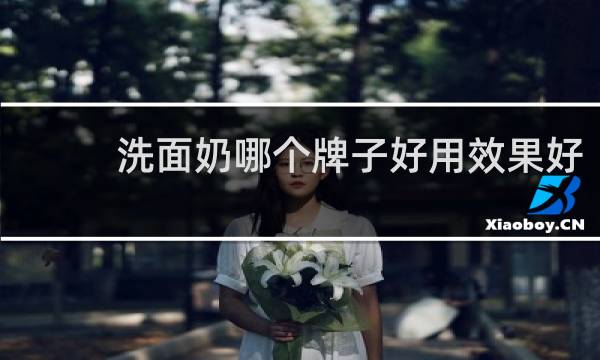 洗面奶哪个牌子好用效果好 - 哪个牌子洗面奶最好用