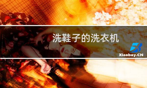 洗鞋子的洗衣机 - 能洗鞋的小洗衣机