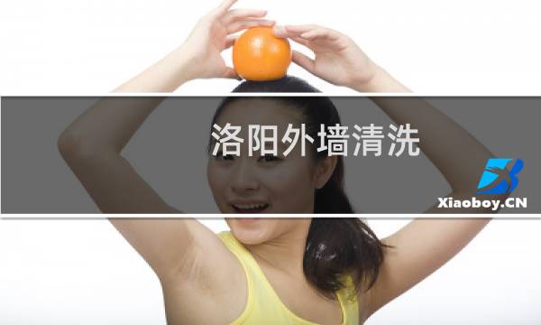洛阳外墙清洗 - 宁河区外墙清洗
