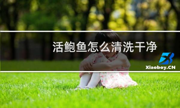 活鲍鱼怎么清洗干净 - 活鲍鱼怎么清洗处理