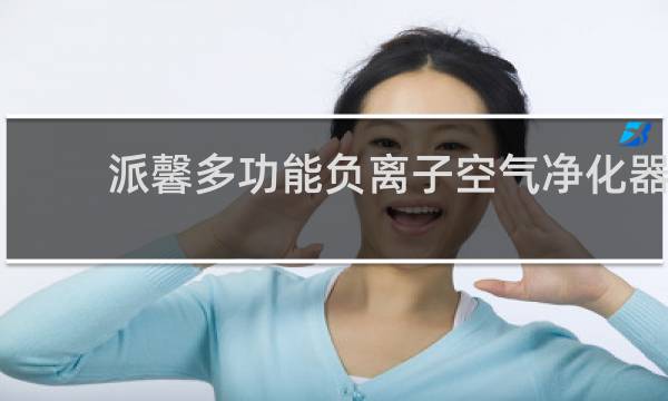 派馨多功能负离子空气净化器 - 派馨负离子净化器说明书