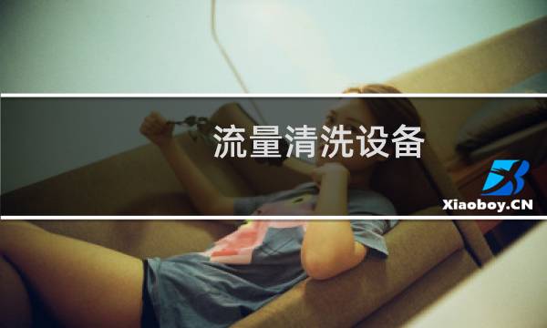 流量清洗设备 - 异常流量清洗系统