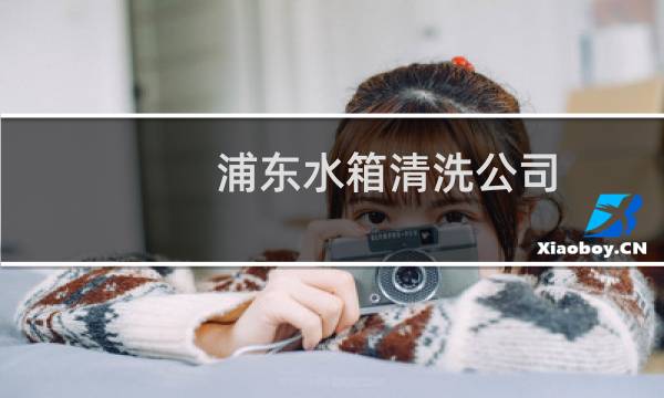 浦东水箱清洗公司 -