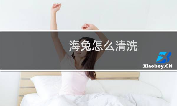 海兔怎么清洗 - 带子海兔怎么处理怎么清洗