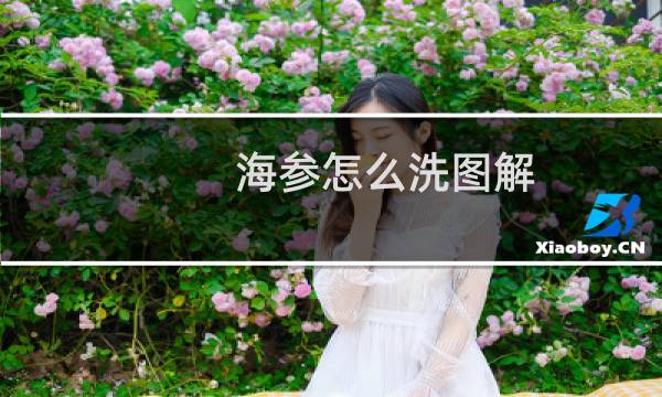 海参怎么洗图解 - 海参如何洗才干净