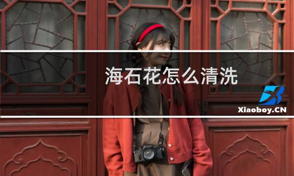 海石花怎么清洗 - 新鲜海石花怎么洗