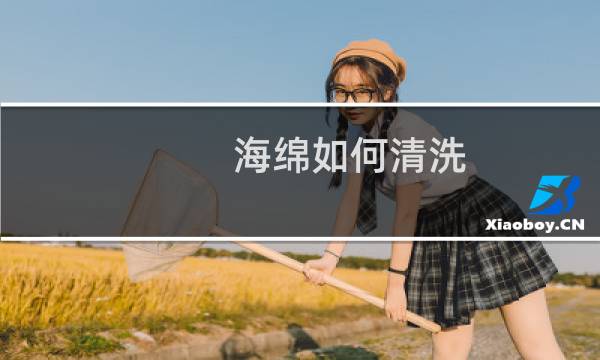 海绵如何清洗 - 大面积的海绵怎么清洗