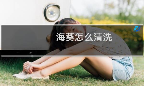 海葵怎么清洗 - 海葵内脏用清理吗