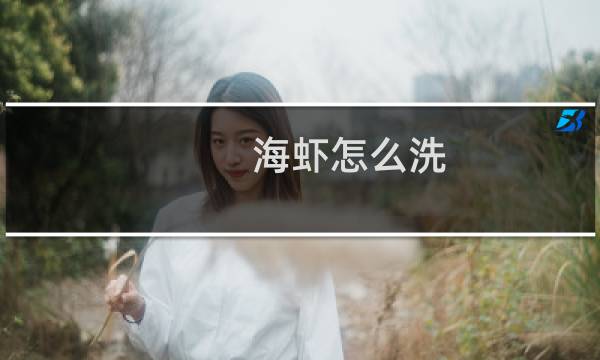 海虾怎么洗 - 海虾如何清洗处理