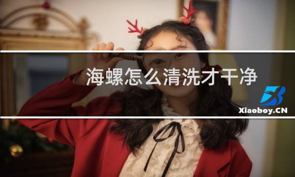 海螺怎么清洗才干净 - 海螺怎么洗最快最干净视频
