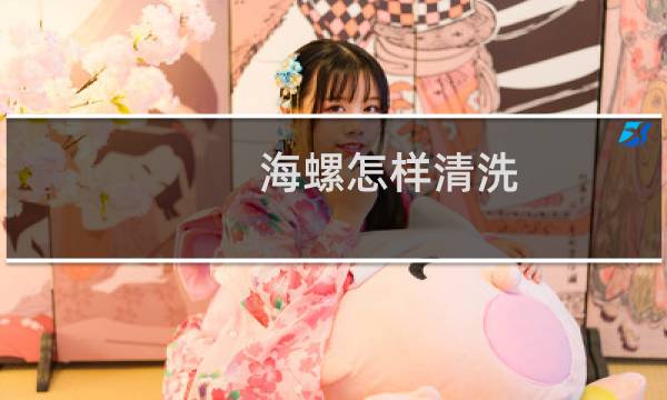 海螺怎样清洗 - 海螺怎么洗最快最干净视频