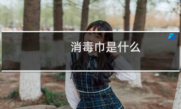 消毒巾是什么 - 消毒剂的卫生巾有哪些