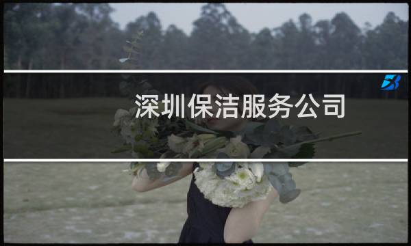 深圳保洁服务公司 - 深圳保洁公司线上咨询