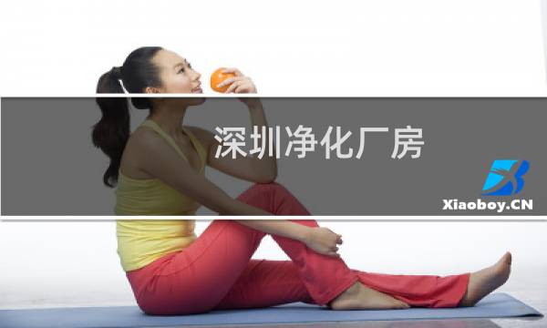 深圳净化厂房 -
