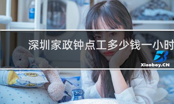 深圳家政钟点工多少钱一小时 - 深圳搞卫生钟点工价格