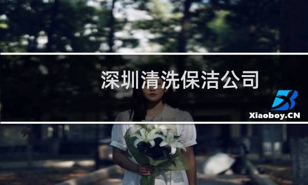 深圳清洗保洁公司 - 深圳保洁公司闫斌