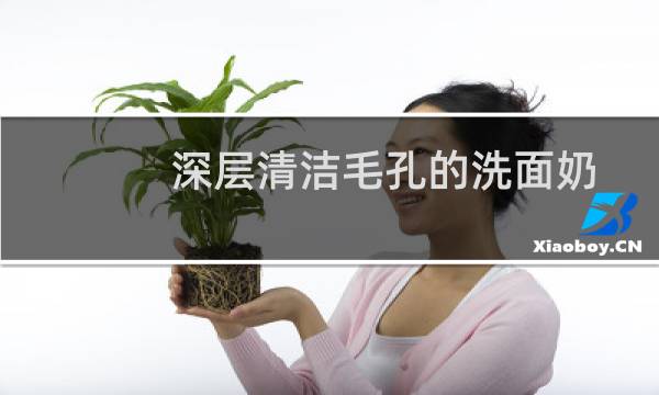 深层清洁毛孔的洗面奶 - 深度清洁控油的洗面奶