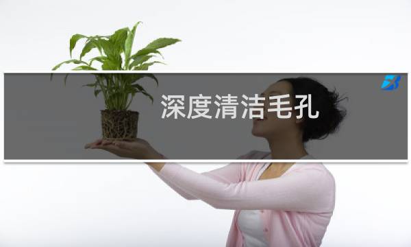 深度清洁毛孔 - 怎样深层清洁毛孔里的脏物