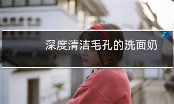 深度清洁毛孔的洗面奶 - 能深层清洁毛孔的洗面奶