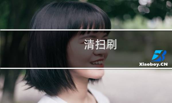 清扫刷 - 清扫刷用来干嘛的