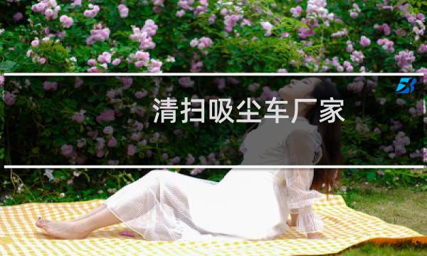 清扫吸尘车厂家 - 多功能扫地车吸尘车厂家