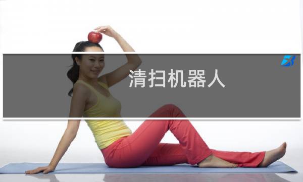 清扫机器人 - 清扫功能机器人
