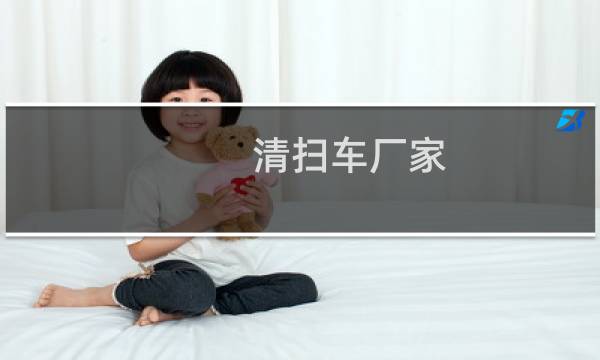 清扫车厂家 - 全封闭小型扫地车