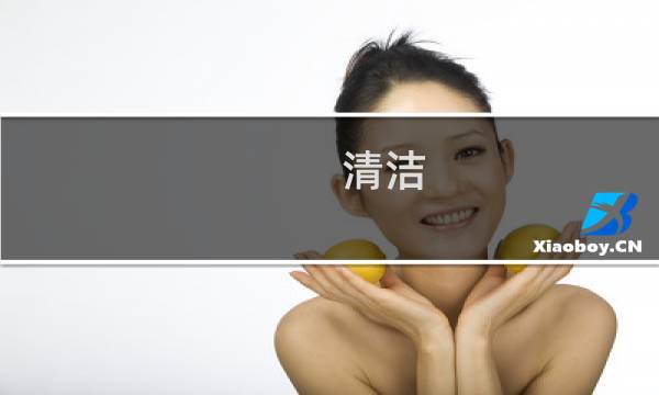 清洁 - 医学清洁的定义是什么