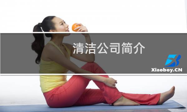 清洁公司简介 - 洗涤公司简介优秀范文