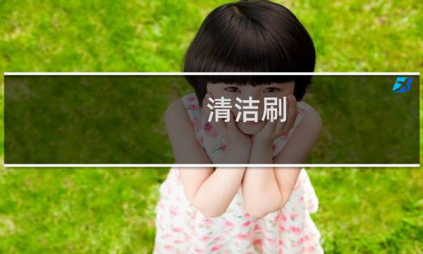 清洁刷 - 大清洁刷
