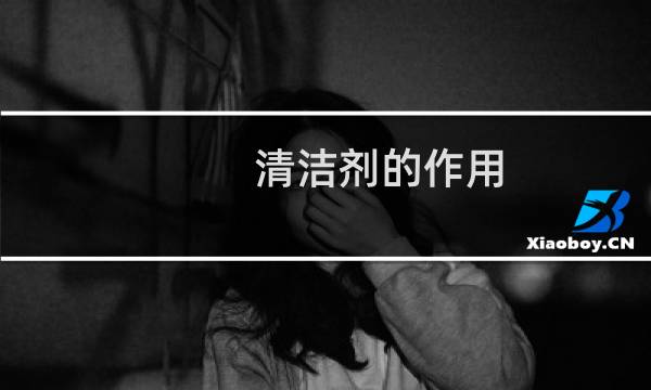 清洁剂的作用 - 清洁剂的成分
